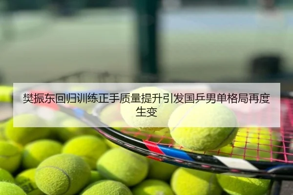 樊振东回归训练正手质量提升引发国乒男单格局再度生变